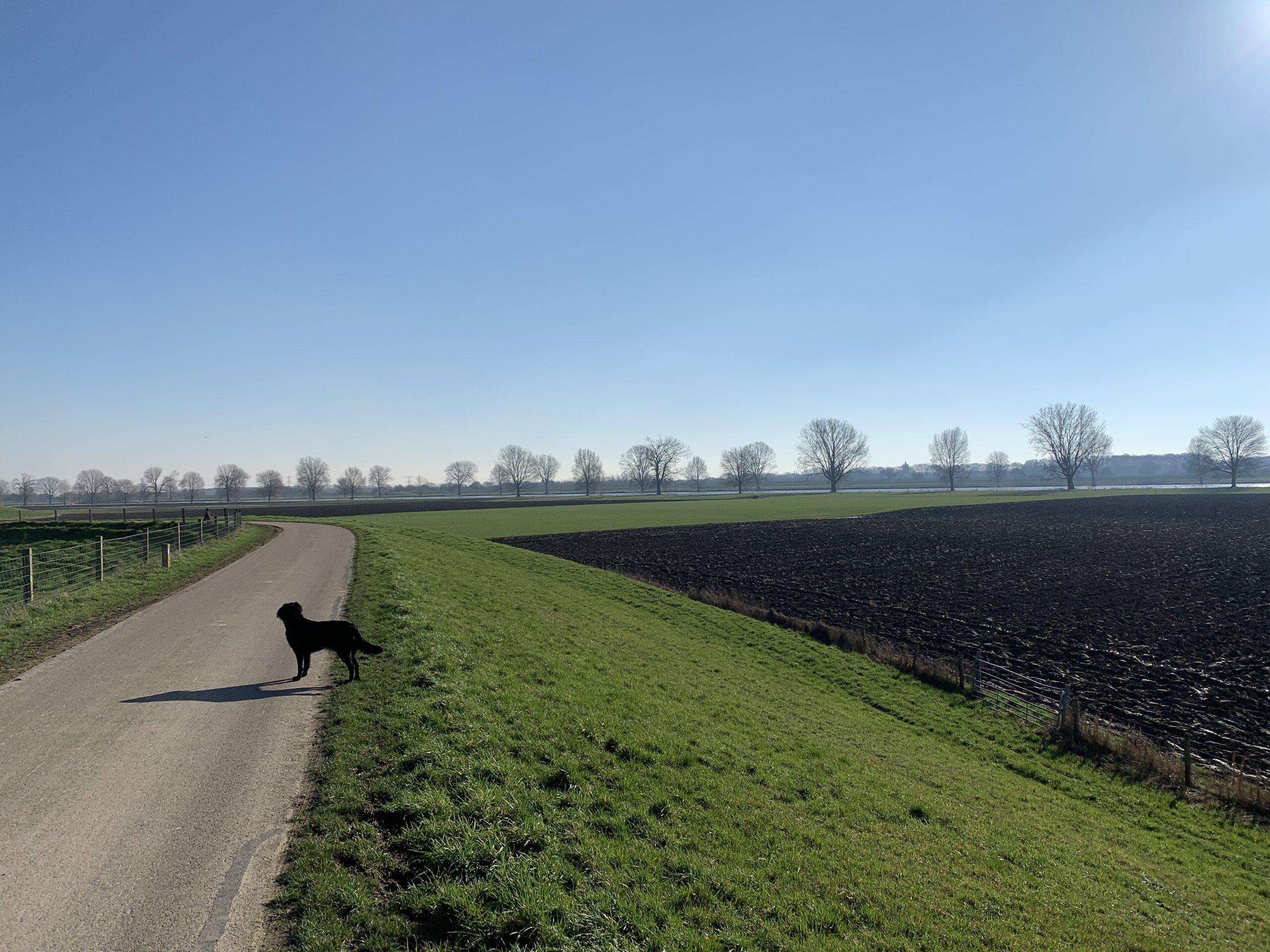 de eetkamer met daarachter het slaapgedeelte van de B&B